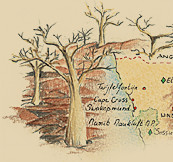 South Africa, Namibia, Botswana & Zambia