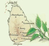 Sri Lanka