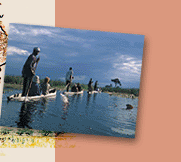 Nambia, Botswana, Zambia, Malawi Mozambique, Vic Falls