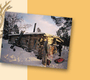 Finland Dogsled Adventure