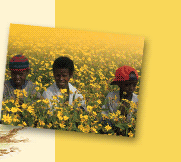 Ethiopia Tours & Safaris