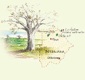 Botswana, Namibia & Victoria Falls