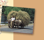 Armenia & Georgia, Albania & Macedonia Tours