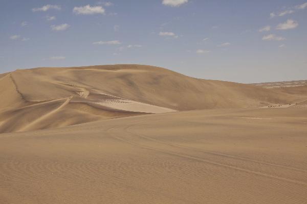 Living Desert sand, South Africa