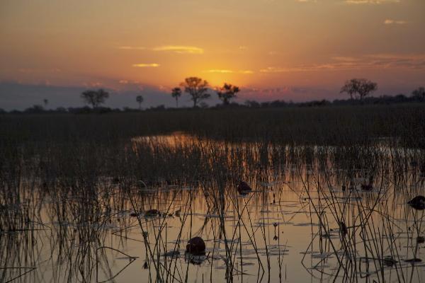 Okavango Delta, Botswana  