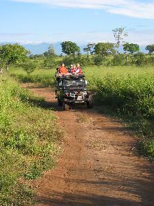 Enjoying the jeep safari, Sri Lanka
