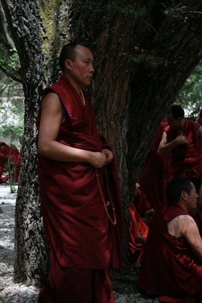 Tibetan Monks under tree - Jessika Pilkes