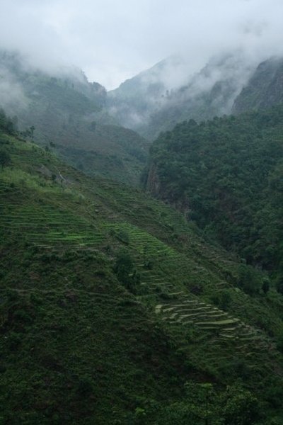 Nepal Misty Terraces -  Jessika Pilkes